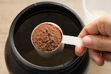 Scoop of protein powder from a black tub