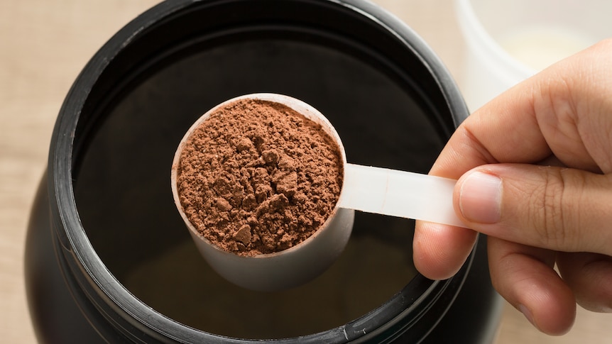 Scoop of protein powder from a black tub
