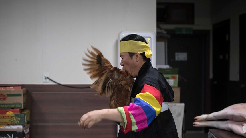 A Korean shaman bites the head off a chicken in Seoul, November 2016