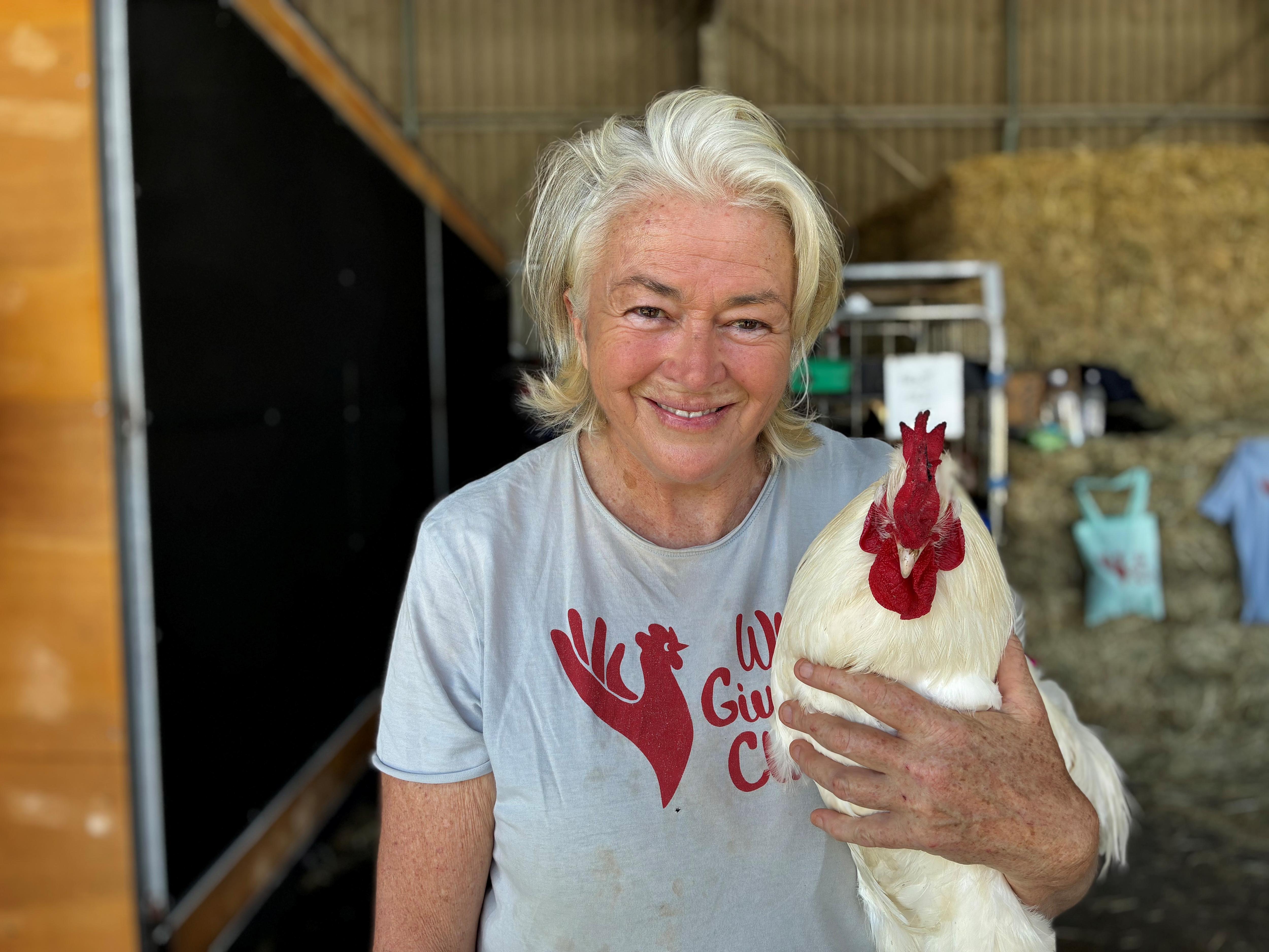 Charity helps thousands of caged hens find new homes
