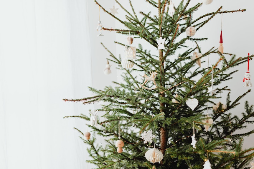 A decorated Christmas tree is seen standing in front of a white wall.