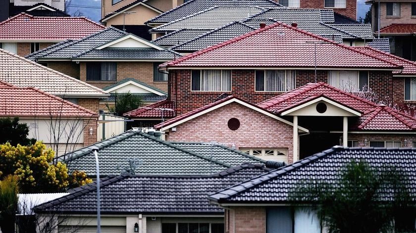 The roofs of houses