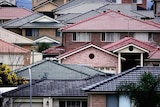 High density housing in suburban Sydney.