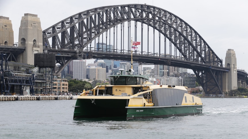 a ferry travelling on the water