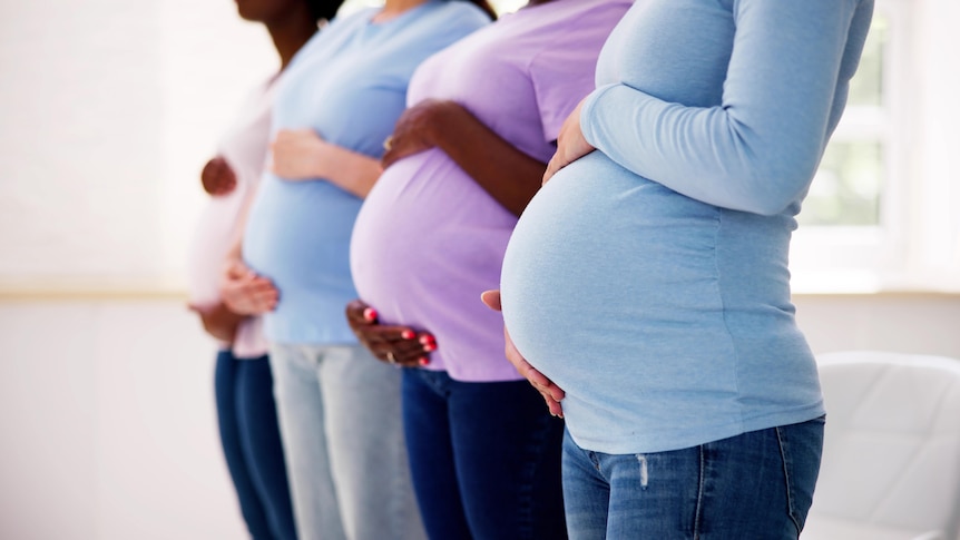A group of pregnant woman in a row