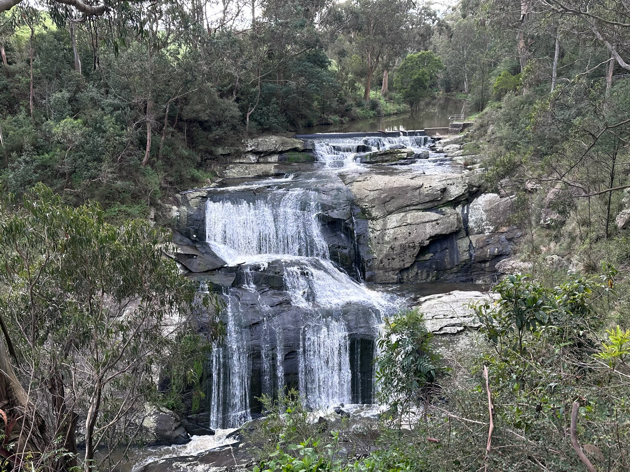 A multi tiered waterfall among rocks and trees.
