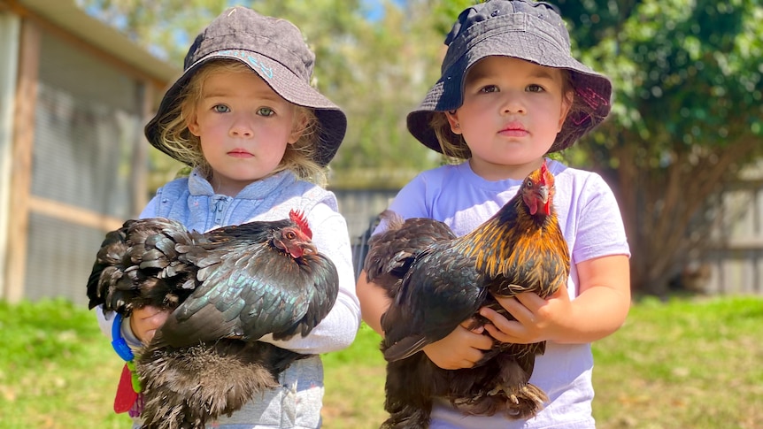 Two girls holding one chicken each.