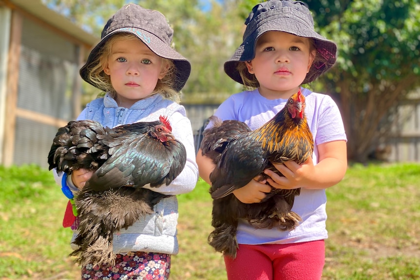 Two girls holding one chicken each.