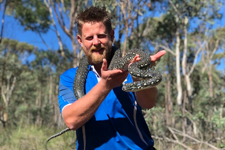 Snake catcher Gavin Smith holding a python.