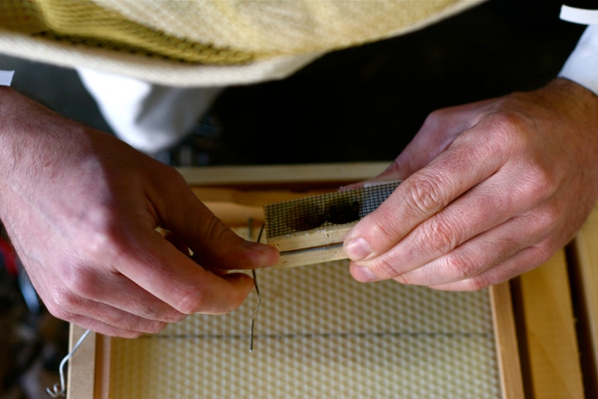 Wooden bee crate.