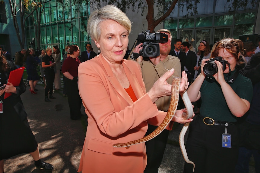 A woman in an orange jacket holds a snake with photographers taking photos of her.