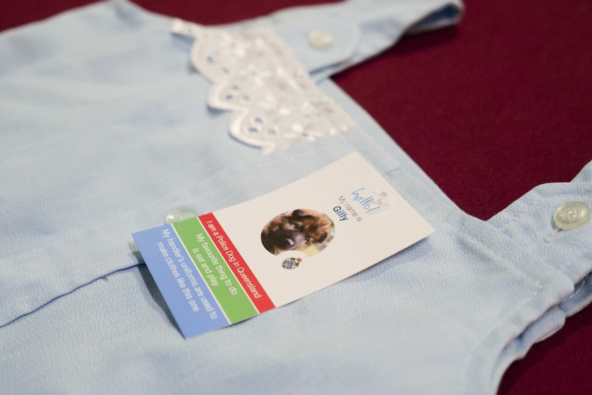 A light blue dress with a tag on it showing the face and name of a dog, Gilly.