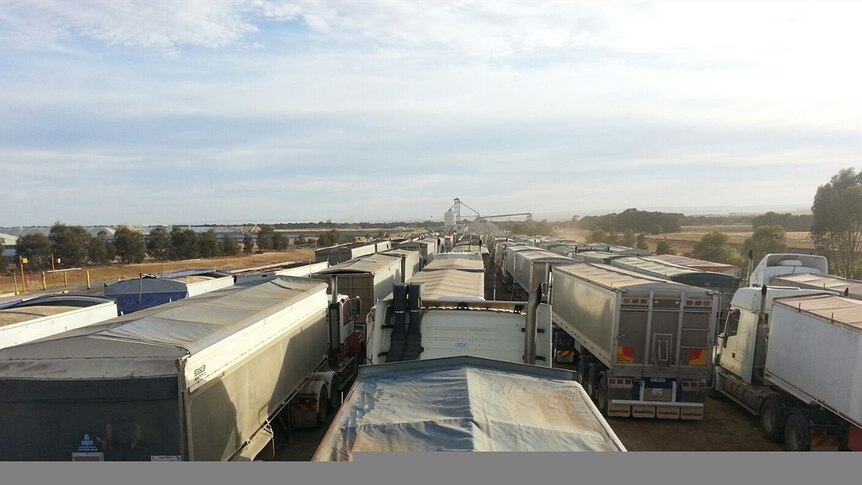 Silo lineup at Snowtown