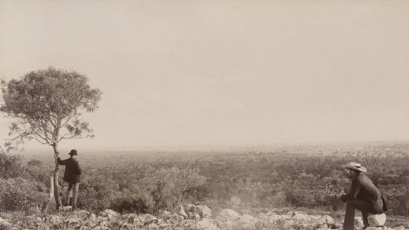 Looking south from Dunlop Range, overlooking Louth, Darling River 1886.