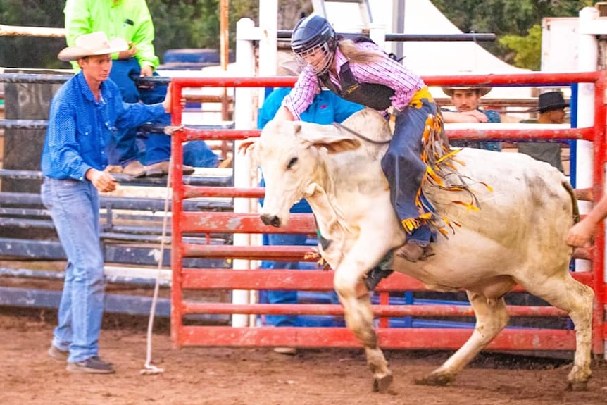 Girl riding bullock in rodeo arena