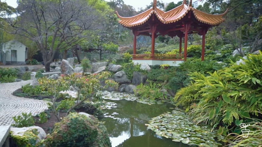 Chinese garden with lake and oriental stonework