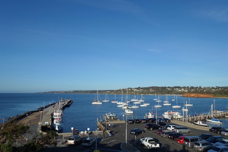 A marina with a carpark in front with blue still water and sunny blue sky with no clouds.
