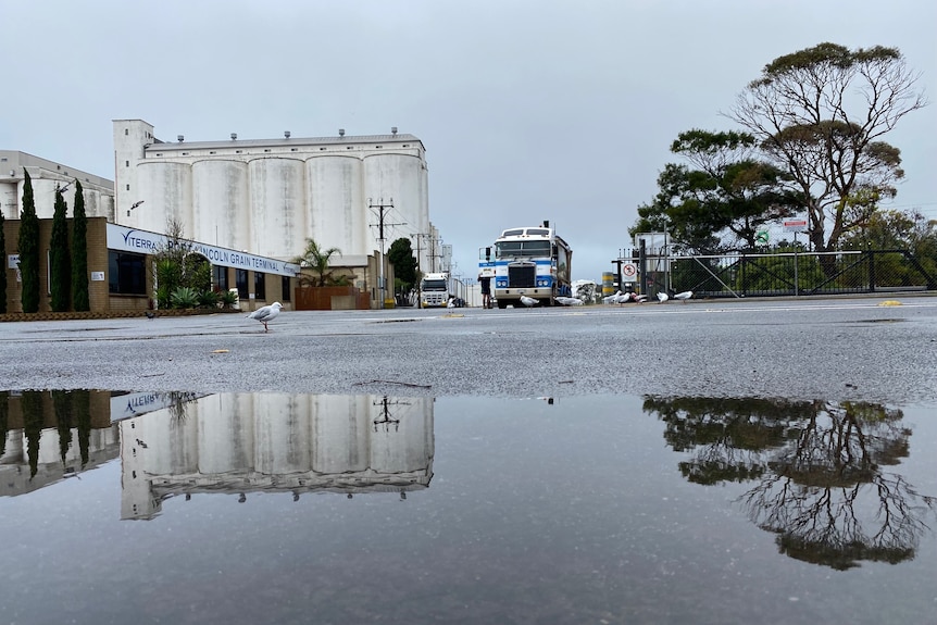 Eyre Peninsula Viterra grain facility after storm with puddles reflecting the tree and the silos. A truck stands nearby.