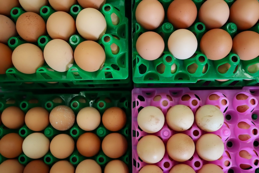 Overhead image of eggs stacked on top of colourful crates.
