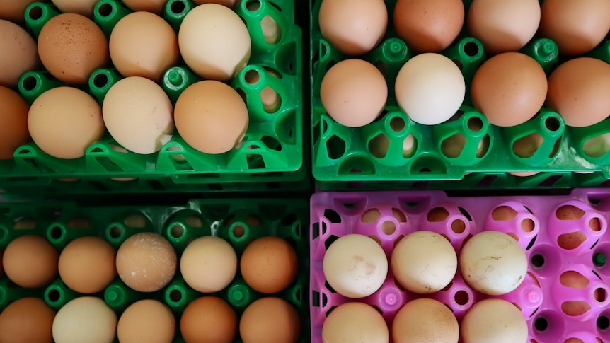 Overhead image of eggs stacked on top of colourful crates.