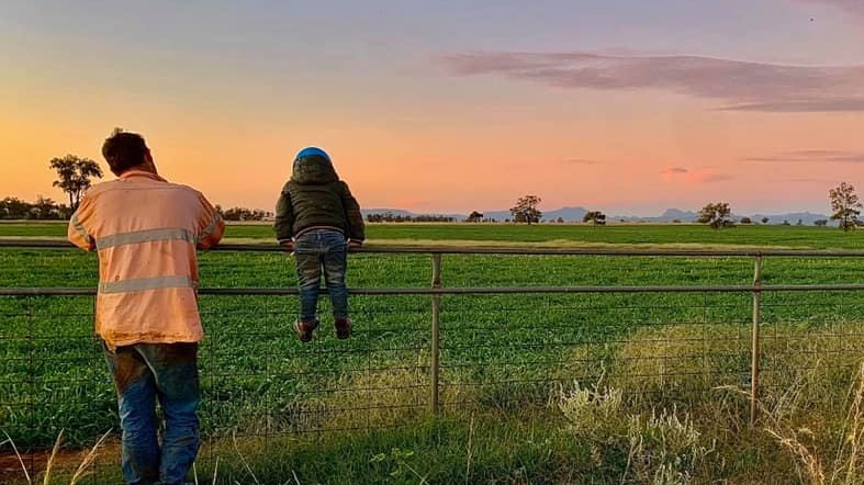 A father and his little boy admire a growing, deep green crop with a sunset in the background