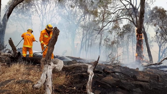 Firefighters spray water on burning logs at the Huon Hill fire in north-east Victoria.