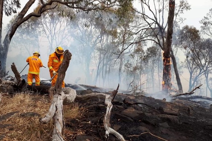 Firefighters spray water on burning logs at the Huon Hill fire in north-east Victoria.