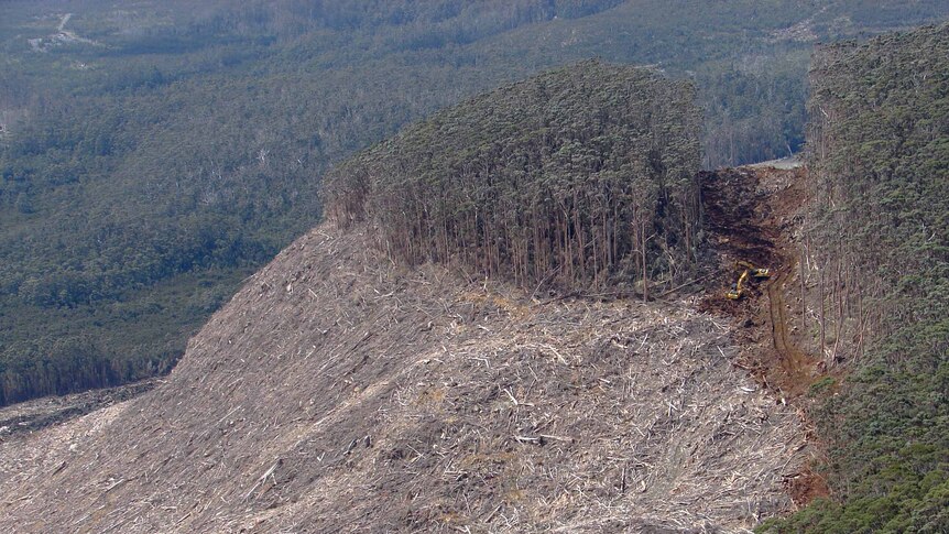 Conservationists and logging industry delegates want another two weeks to finalise an agreement to reduce logging.