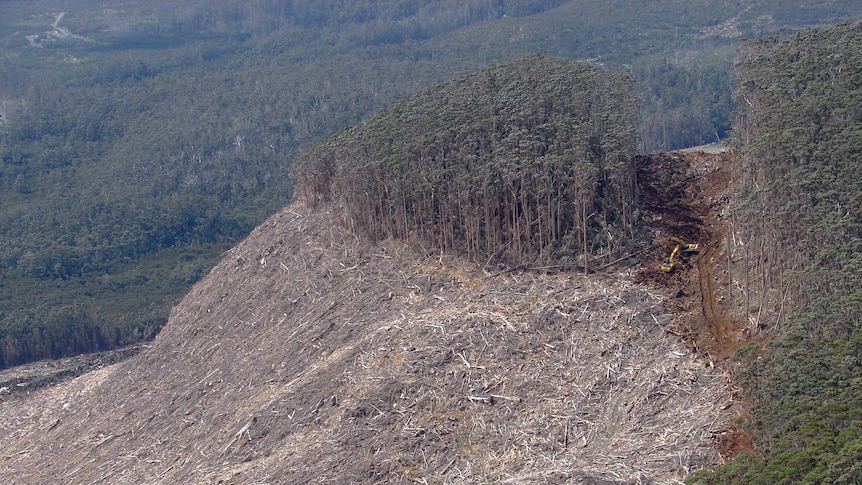 Aerial shot of logging in Tasmania