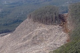 Aerial shot of logging in Tasmania