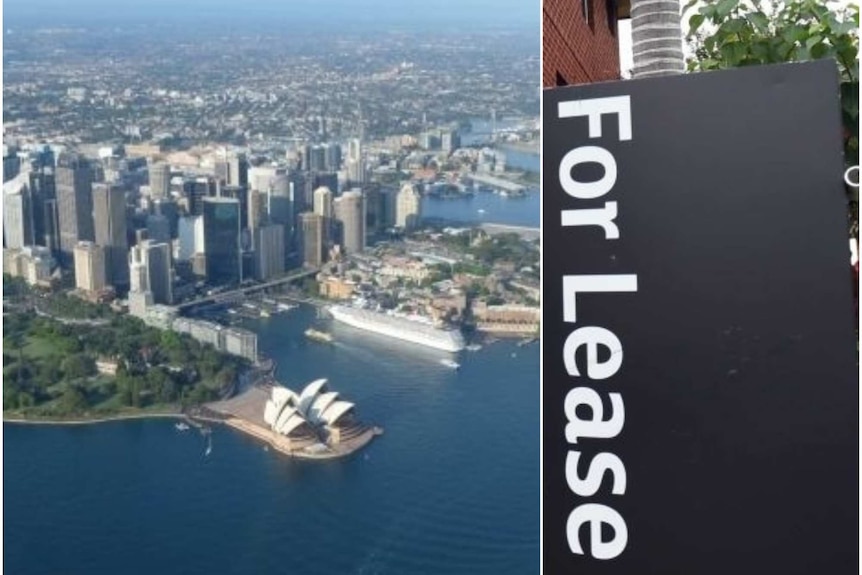 Sydney's rental market is tough