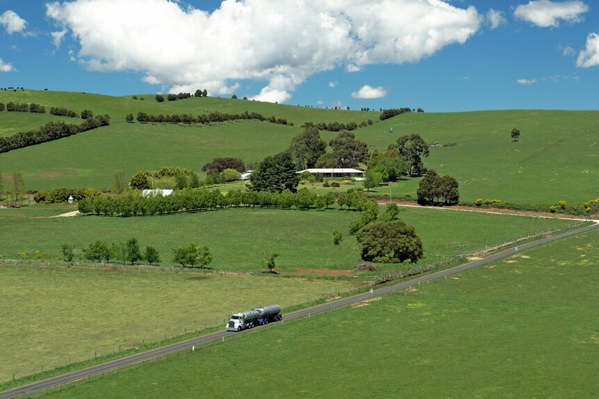 In this aerial shot of musk a truck drives down a country road surrounded lush green paddocks.
