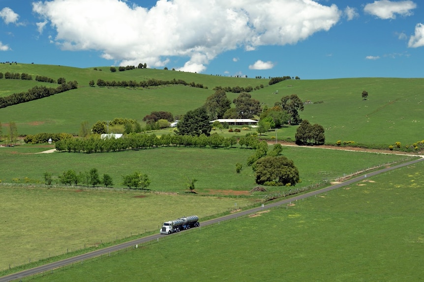 in this aerial shot of musk a truck drives down a country road surrounded lush green paddocks,
