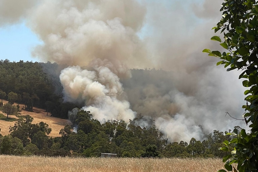 A paddock with hills in the background, with the hills covered by white smoke.