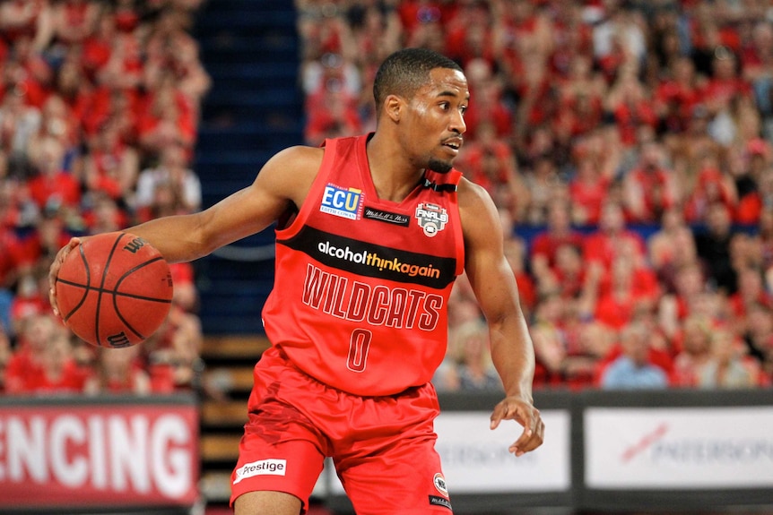 A mid-shot of Bryce Cotton in action for the Wildcats dribbling a basketball.