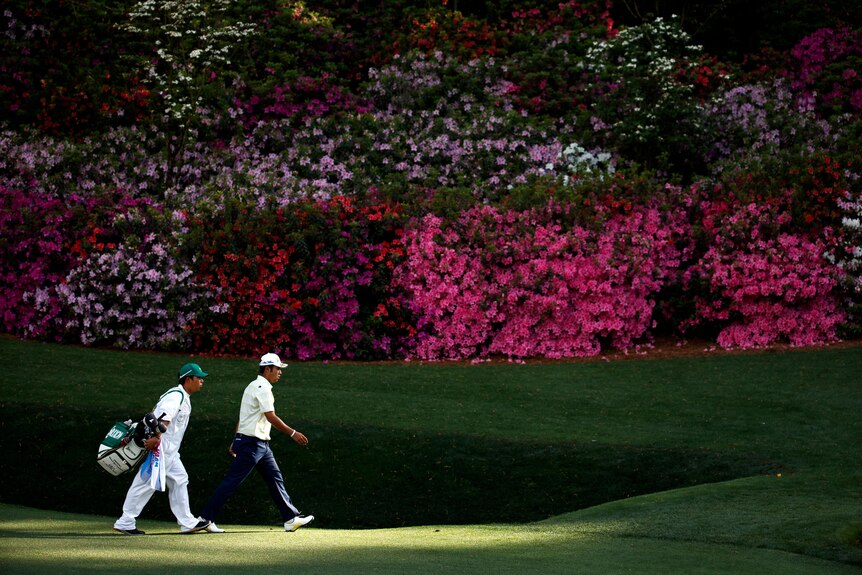 Hideki Matsuyama and his caddy walk in front of blooming pink azaleas at Augusta National