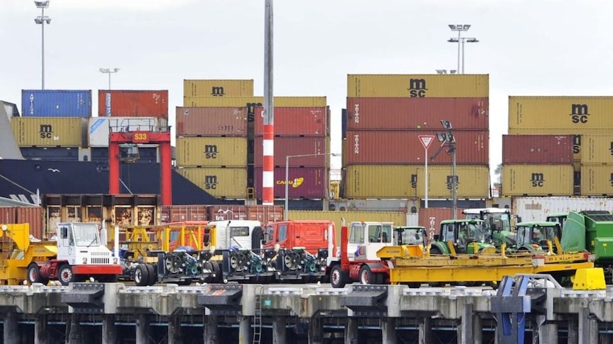 Researchers says Victoria's market is not big enough to attract ships to Hastings.