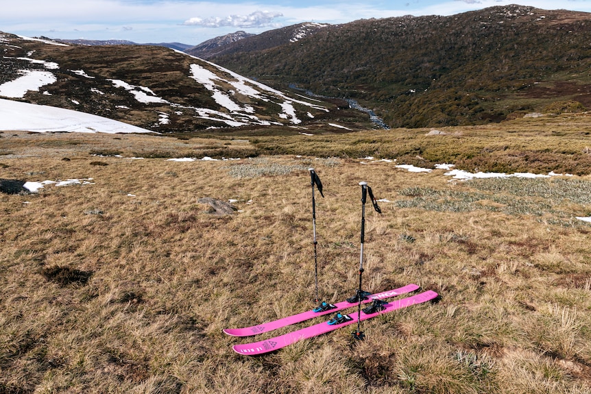 A pair of pink ski on a grassy hill, snow-covered mountains in the background