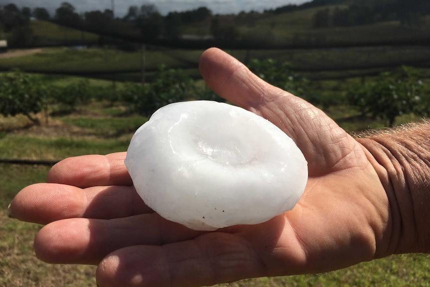 A hail stone the size of a tennis ball on Queensland's Sunshine Coast