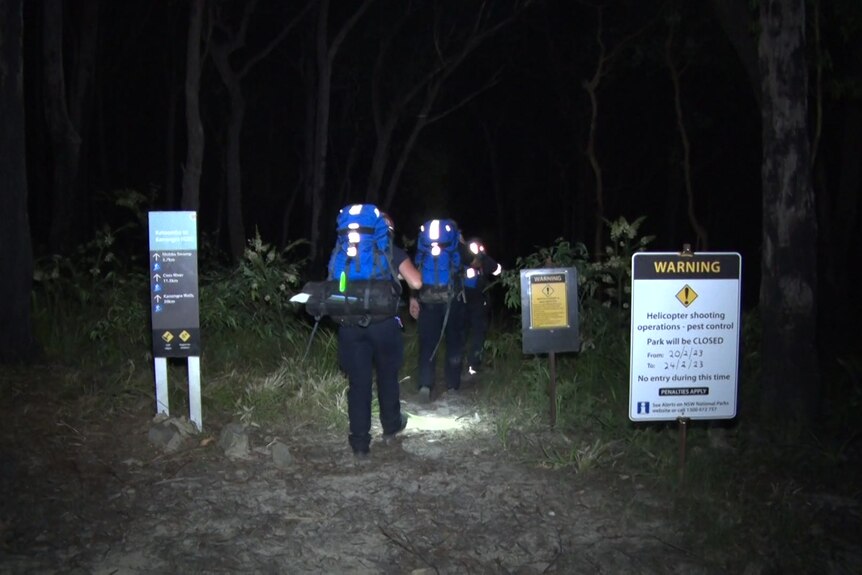 A line of men wearing large pack packs and camping supplies march down a dark bush track.