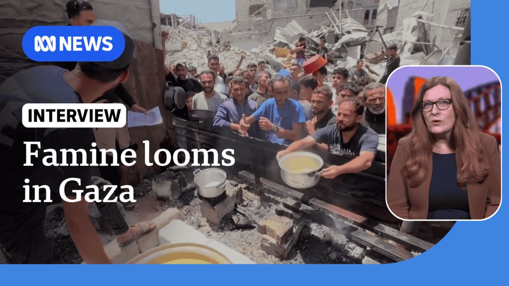 Gaza is 'on the brink of famine' amid Israel's aid restrictions, says ...