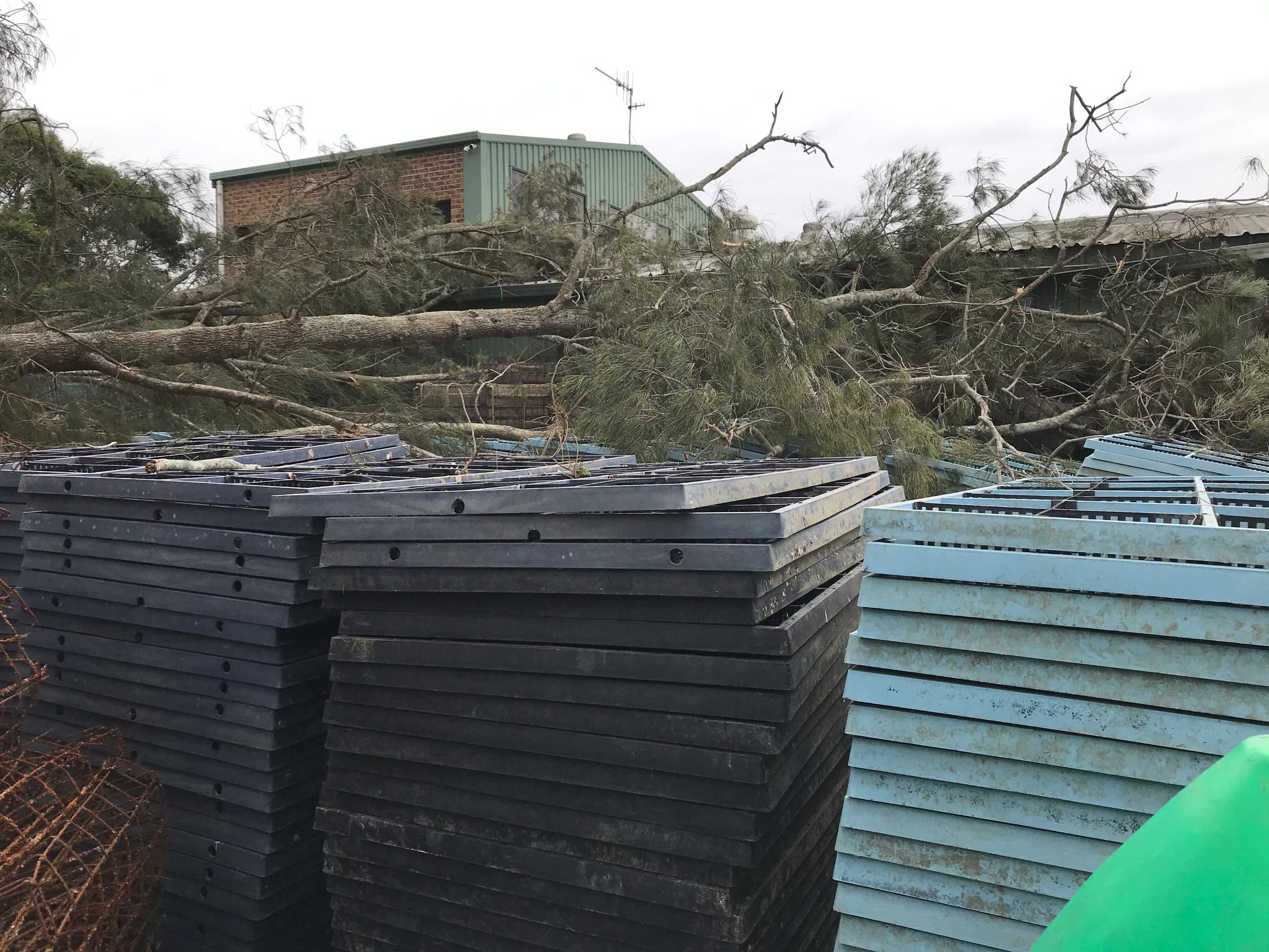 Storm season's arrival on NSW midnorth coast sees 'mini cyclone' crash