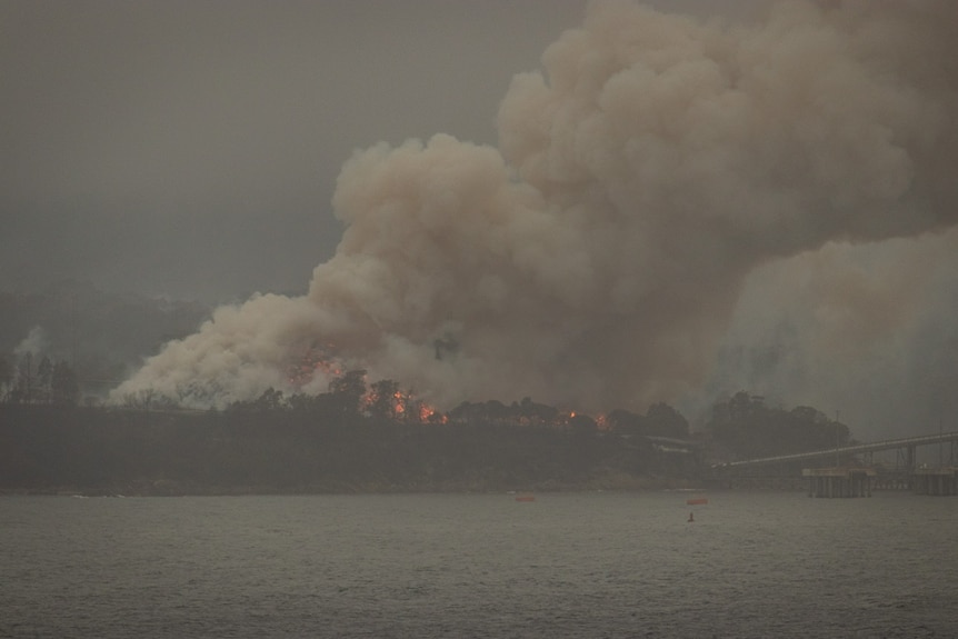 a picture of the Eden woodchip mill caught a light with plumes of smoke in the hair