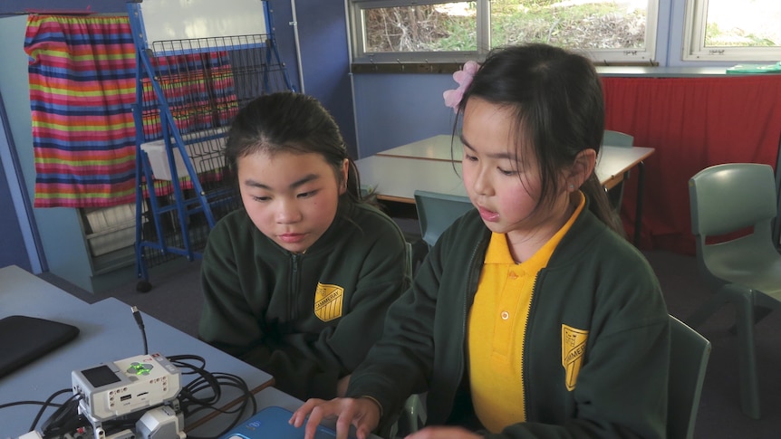 Two female primary school students look at a computer screen in a classroom