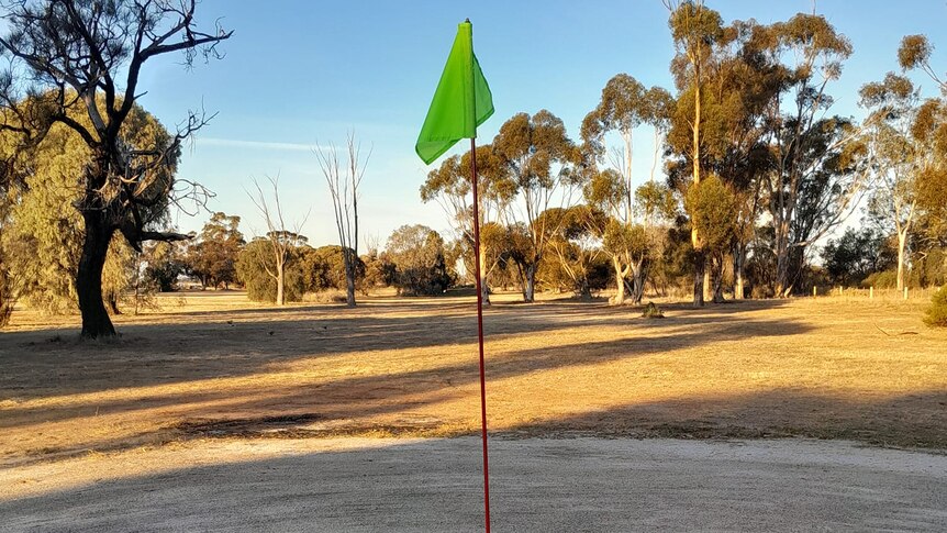 A red golf post with a green flag sticks out of the dry ground as gum trees stand in the sunlight 
