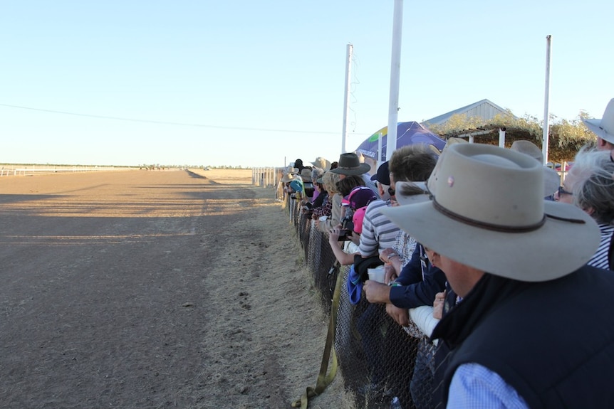 A crowd watches beside a racetrack as horses round the bend