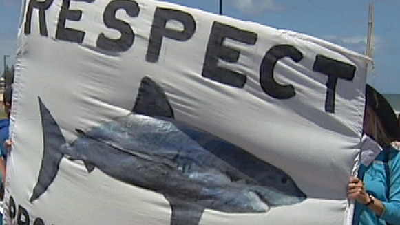 Shark protest sign