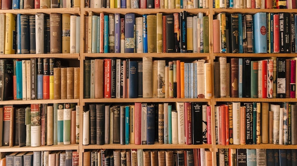 Rows of dozens of books on shelves