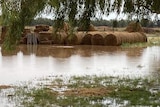 A large puddle in front of round hay bales.