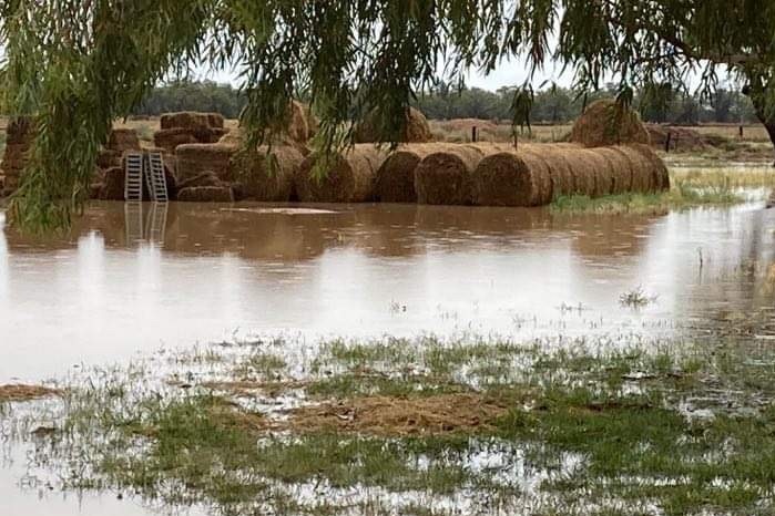 A large puddle in front of round hay bales.